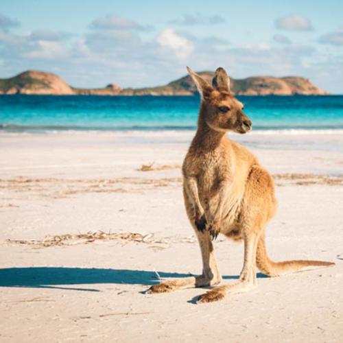 เพราะความสุขอยู่รอบตัวเรา