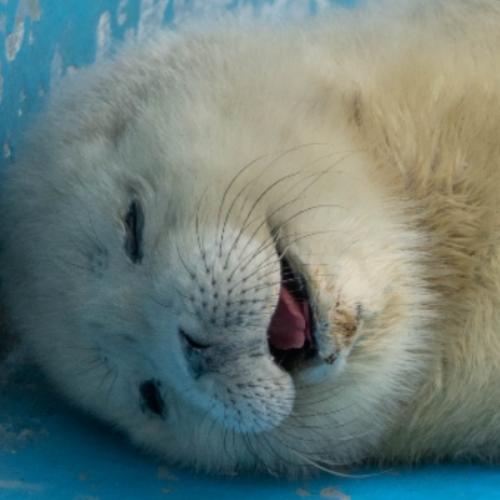 สมาชิกหมายเลข 7842676