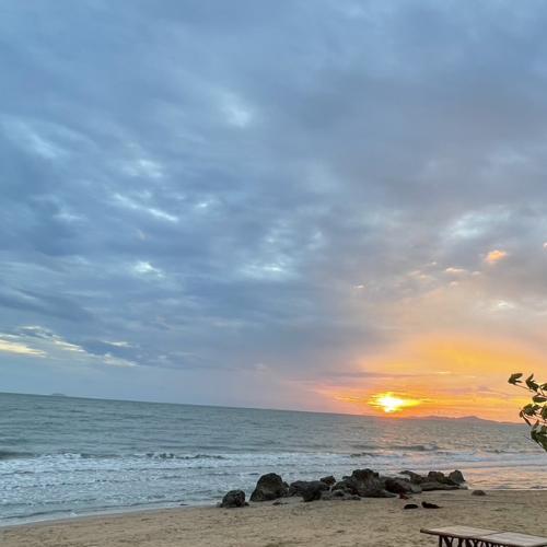 สมาชิกหมายเลข 5852536