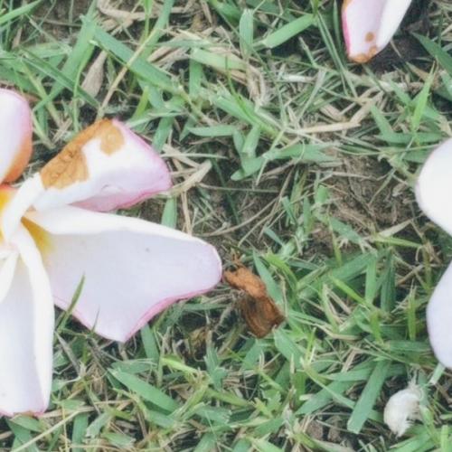 สมาชิกหมายเลข 8254069