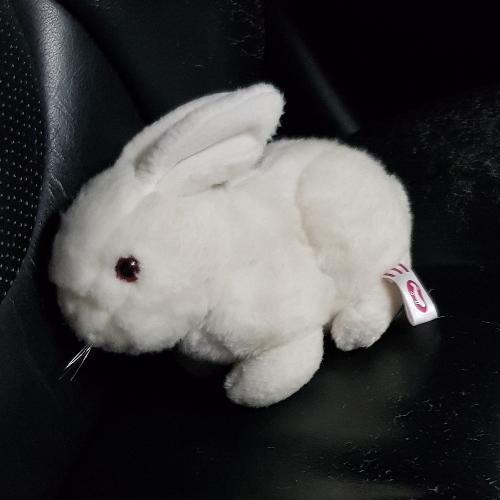 สมาชิกหมายเลข 1066170