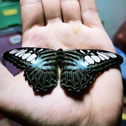 สมาชิกหมายเลข 3482266