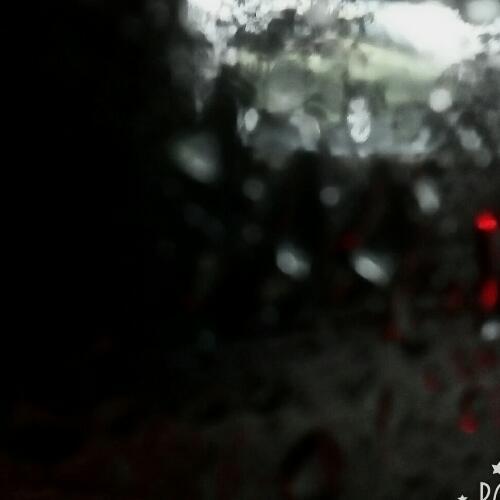 สมาชิกหมายเลข 4921083