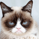 สมาชิกหมายเลข 4012892