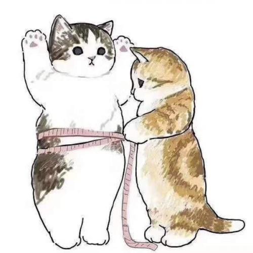 สมาชิกหมายเลข 4793730