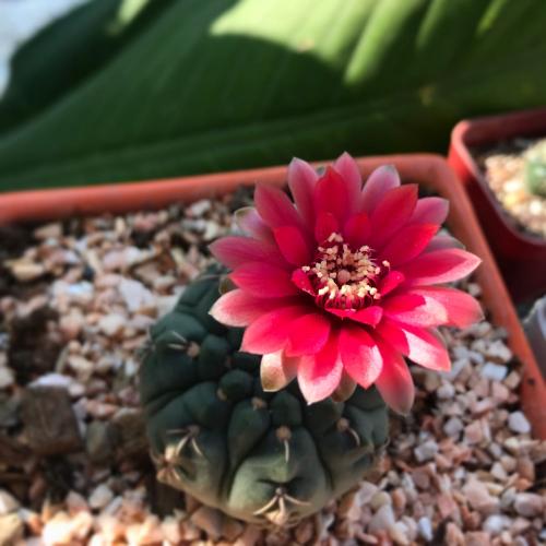 สมาชิกหมายเลข 5783076