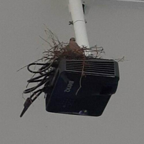 สมาชิกหมายเลข 1462160