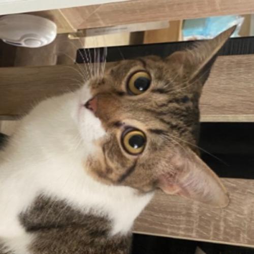 สมาชิกหมายเลข 6332249