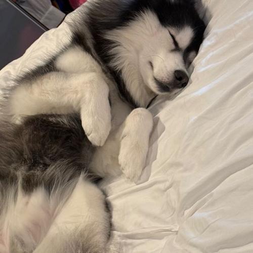 สมาชิกหมายเลข 4193749