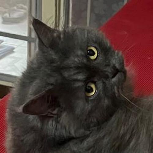 น้องซันเดย์