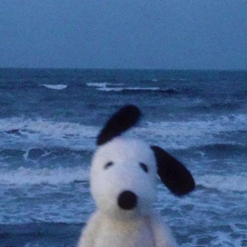 สมาชิกหมายเลข 8833355