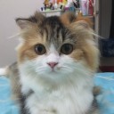 สมาชิกหมายเลข 1035431