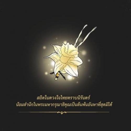 สมาชิกหมายเลข 2658956