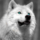 สมาชิกหมายเลข 3417827