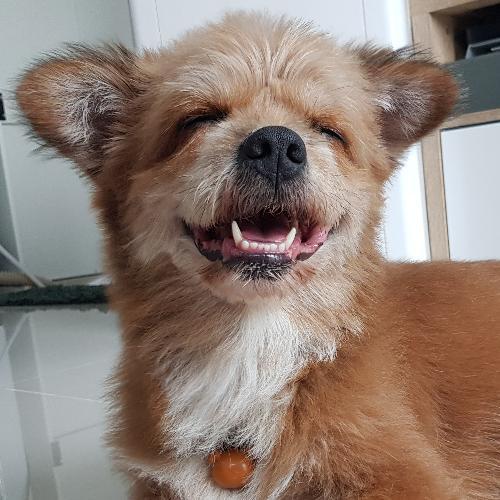 สมาชิกหมายเลข 5320517