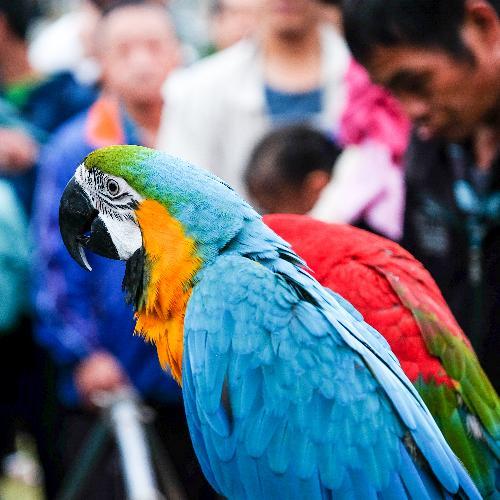 สมาชิกหมายเลข 5320592