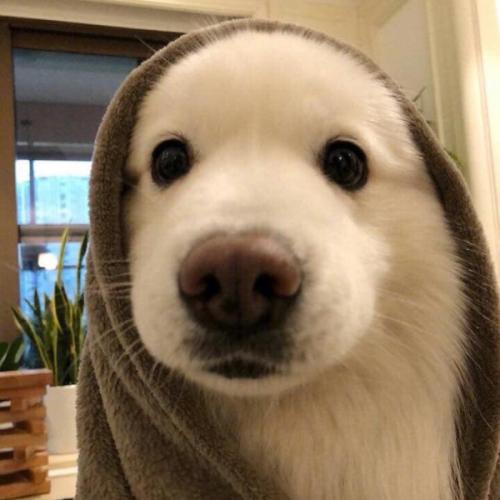 สมาชิกหมายเลข 2575503