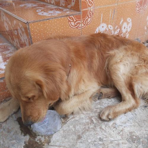 สมาชิกหมายเลข 5733766