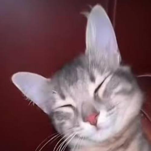 สมาชิกหมายเลข 7843668