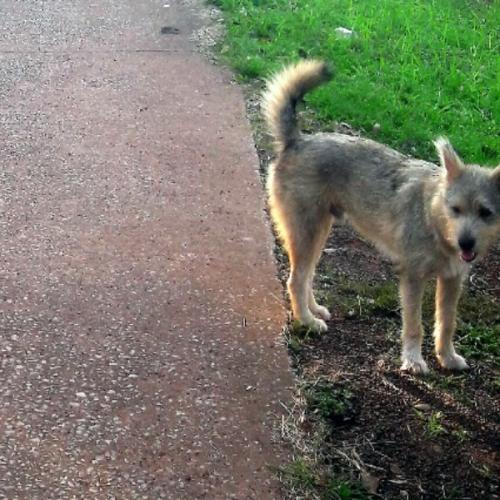 สมาชิกหมายเลข 7843787