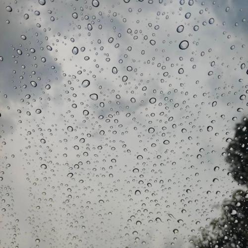 สมาชิกหมายเลข 5910523