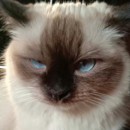 สมาชิกหมายเลข 8834959