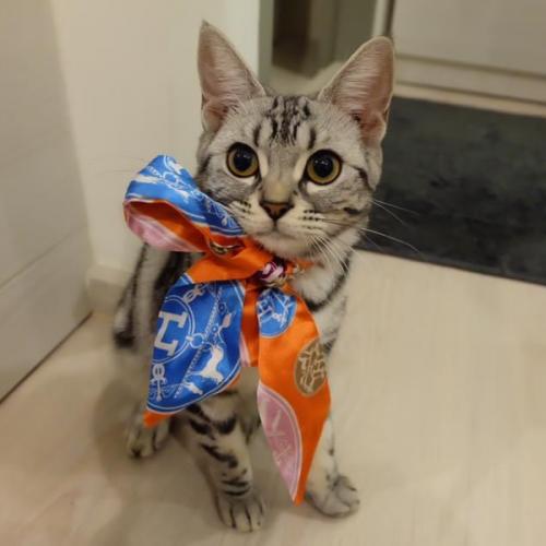 สมาชิกหมายเลข 8835205