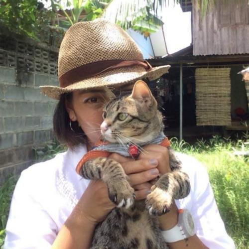 สมาชิกหมายเลข 8835708