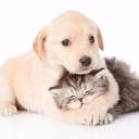 สมาชิกหมายเลข 4166809