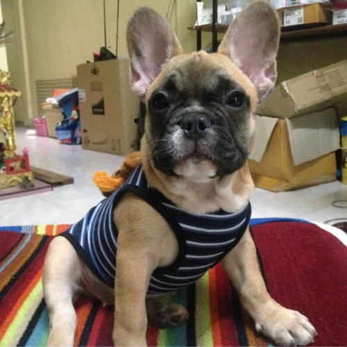 สมาชิกหมายเลข 2755237