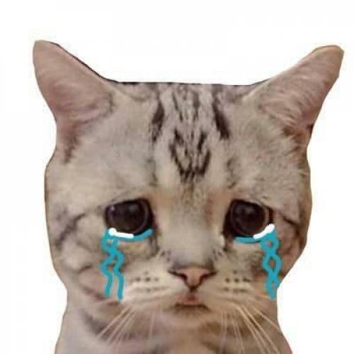 สมาชิกหมายเลข 4921776