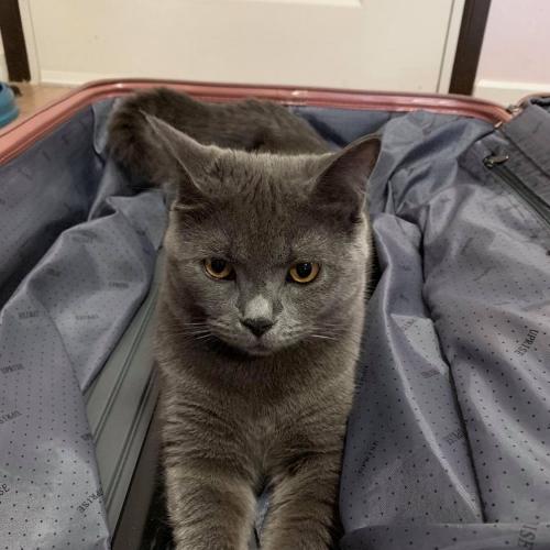 สมาชิกหมายเลข 5090632