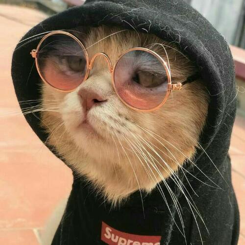 สมาชิกหมายเลข 5321035