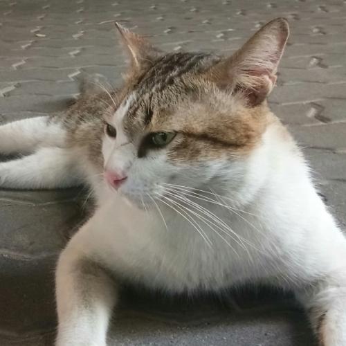 สมาชิกหมายเลข 5230902