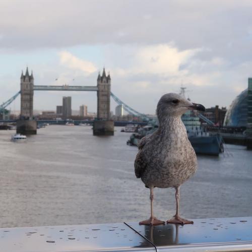 สมาชิกหมายเลข 5783792