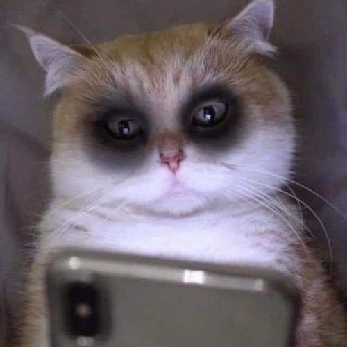 สมาชิกหมายเลข 7071389