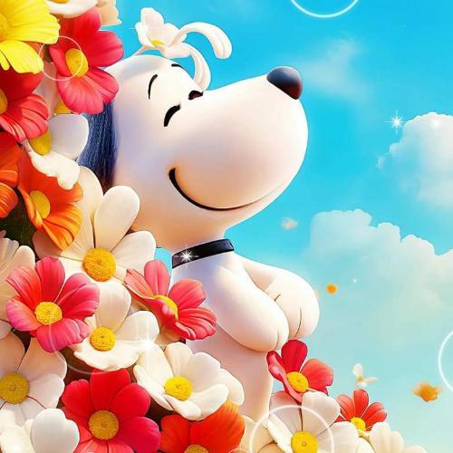 สมาชิกหมายเลข 4020053