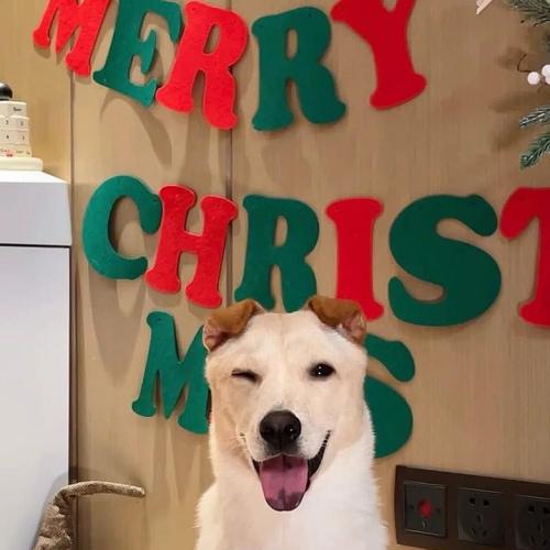 สมาชิกหมายเลข 5587226