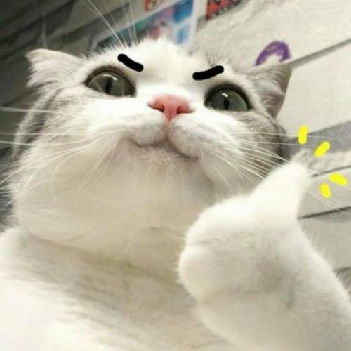 สมาชิกหมายเลข 7843189