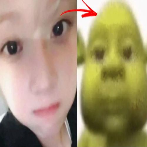 สมาชิกหมายเลข 8511450