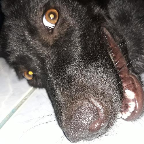 สมาชิกหมายเลข 3511260