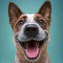 สมาชิกหมายเลข 4578697