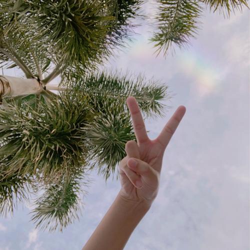 สมาชิกหมายเลข 4578720