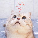 สมาชิกหมายเลข 2138073