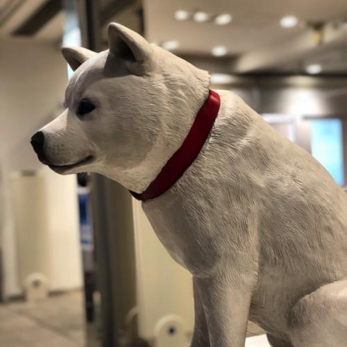 สมาชิกหมายเลข 867063