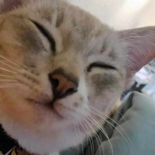 สมาชิกหมายเลข 3083065