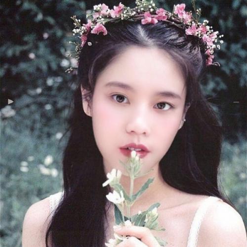 สมาชิกหมายเลข 4881966