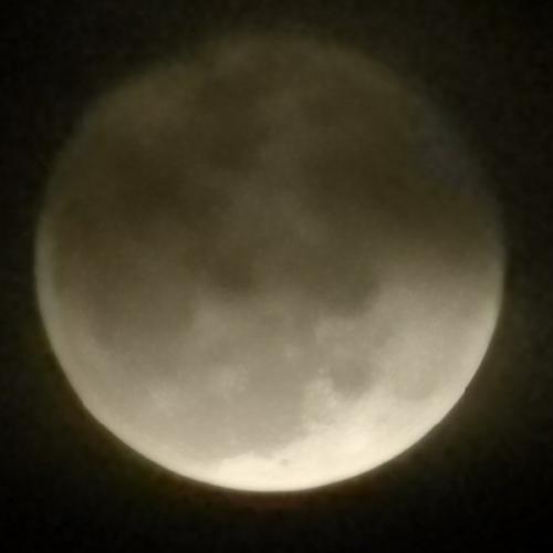 สมาชิกหมายเลข 4778374