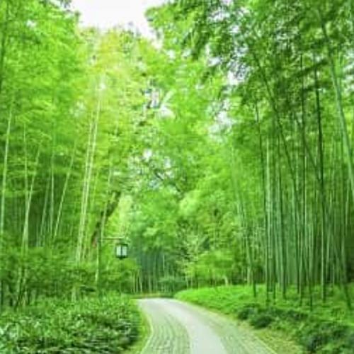 สมาชิกหมายเลข 6385105