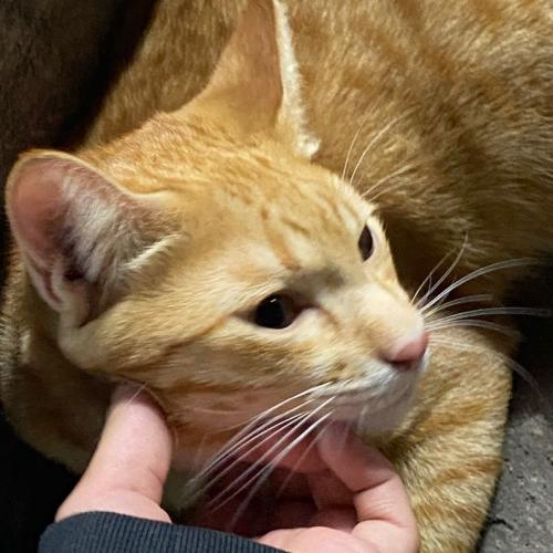 สมาชิกหมายเลข 3522325